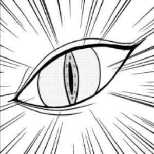 Chap 13