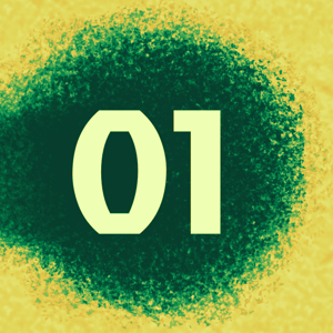 Chapter 1 / Uprooted