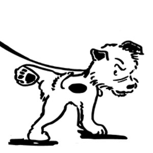 Keeping up Appearances