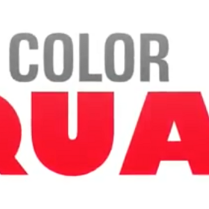 Color Squad Movie