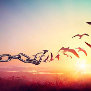 Chapter 19 &mdash; The One Who Doubts