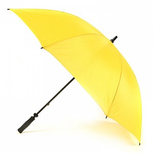 Week 1 - The Yellow Umbrella