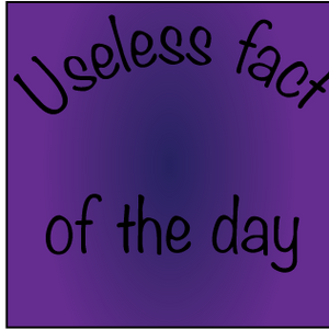 Useless Fact of the Day