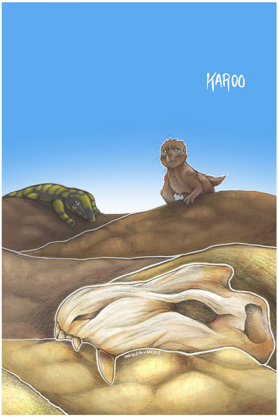 NEOTYPE - Karoo