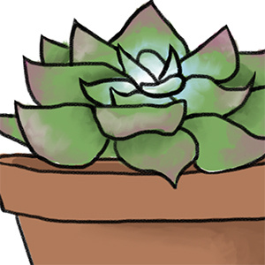 Sad Succulent 