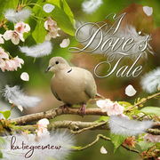 A Dove's Tale