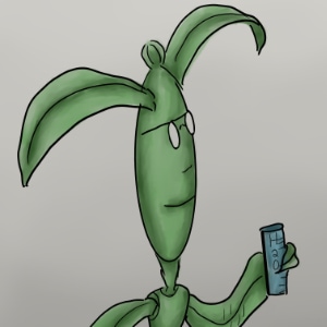 The story of Ash and Gloria.