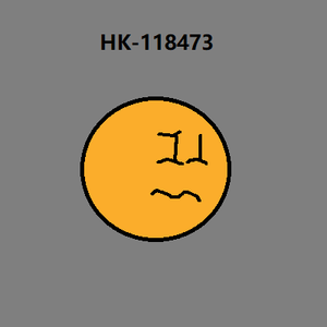 Meet HK-118473