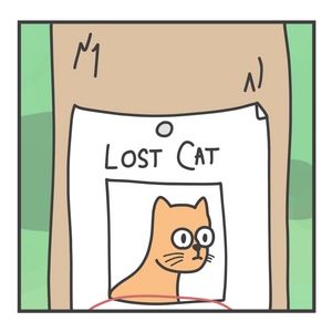 Aww, An Innocent Lost Kitty