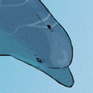 Sonhando com Golfinhos
