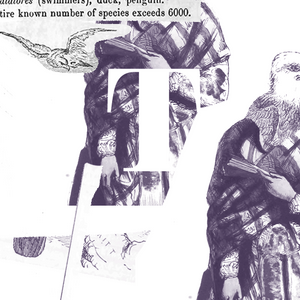 Thumbelina and the Faerie Prince