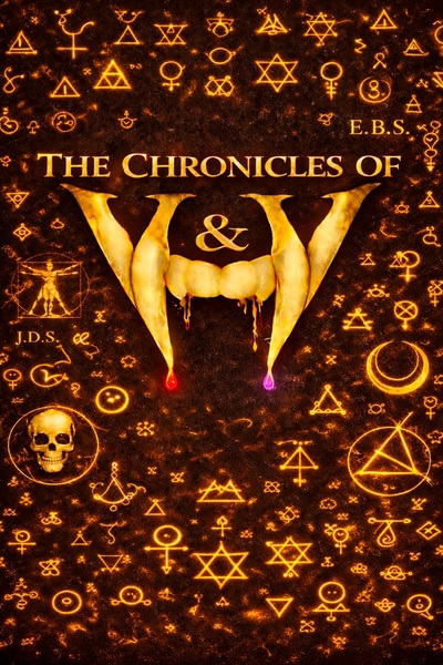 THE  CHRONICLES OF V & V