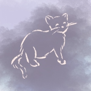 11 - Stray cats