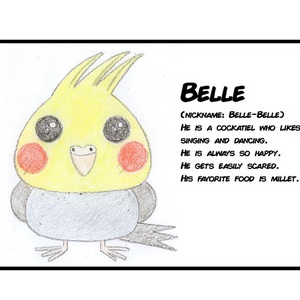 Belle's Intro