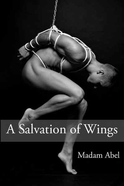 A Salvation of Wings