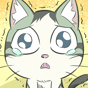 Let's go home, kitty