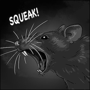 The Rat