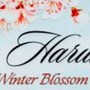 Haruki: Winter Blossom