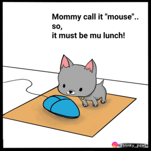 A mouse for lunch