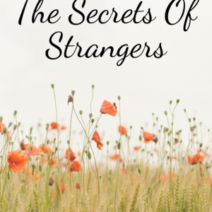 The Secrets of Strangers 