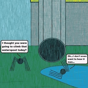 Itsy Bitsy Spider...