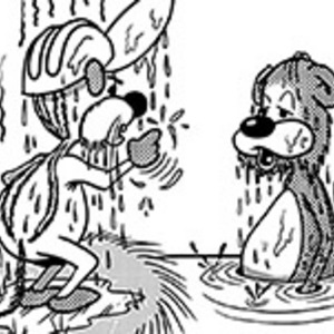 Collision With A Trout