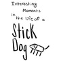 Interesting Moments in the Life of a Stick Dog