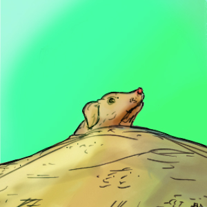 The Dog in the Sand