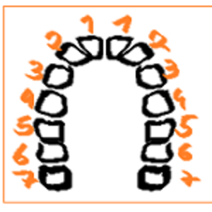 Today at the orthodontists