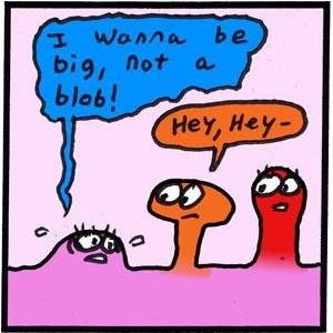 Polly The Polyp - "Colon Chorus" - Episode 010