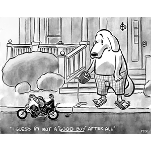 Day Nine, Sit, Human!