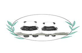 custom banner