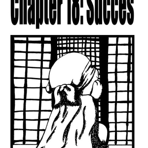 Chapter 18: Succes