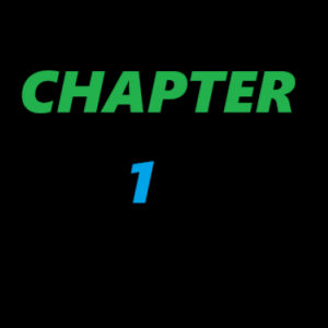 CHAPTER 1: I’m Not Fake, I’m Real