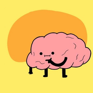 the brain 