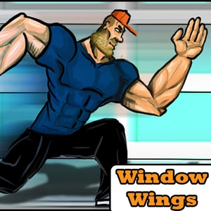 Window Wings