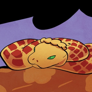 Cherry Python