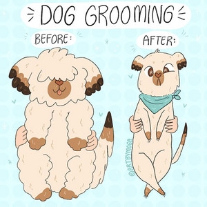 Dog Grooming