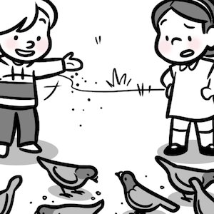 Pigeons