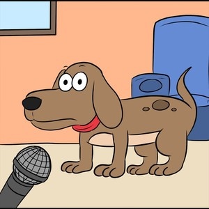 Most Common Dog Question