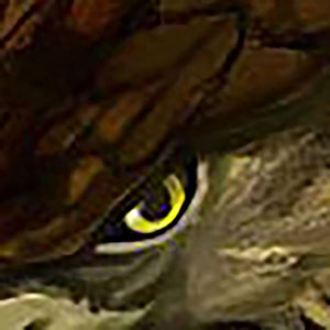 Intermission: A wing and a prayer