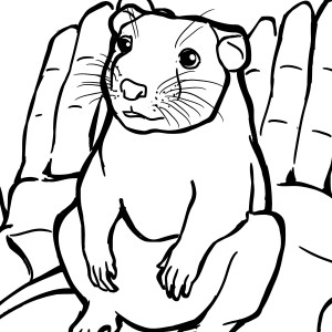 Tira 3: Eu quero um ratinho!