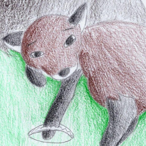 Boy Meets Fox: Part 1