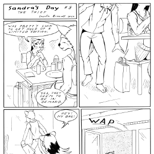 Sandra's Day # 8 The Thief