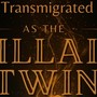 Transmigrated as the Villain Twin&mdash;And I Refused the Male Lead