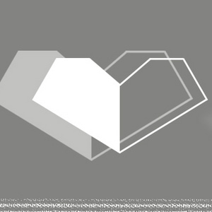 Race Reference Sheet 1 - Firmissimam