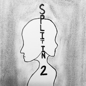 Split  in  2