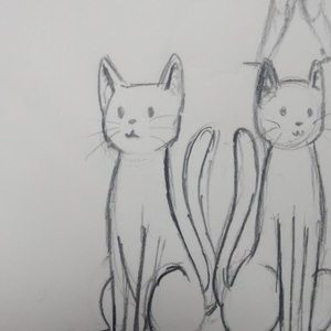 Kitties