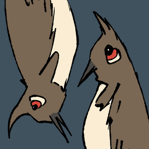 Two Birds