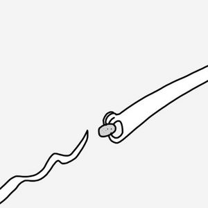 School Lunch With Aliens